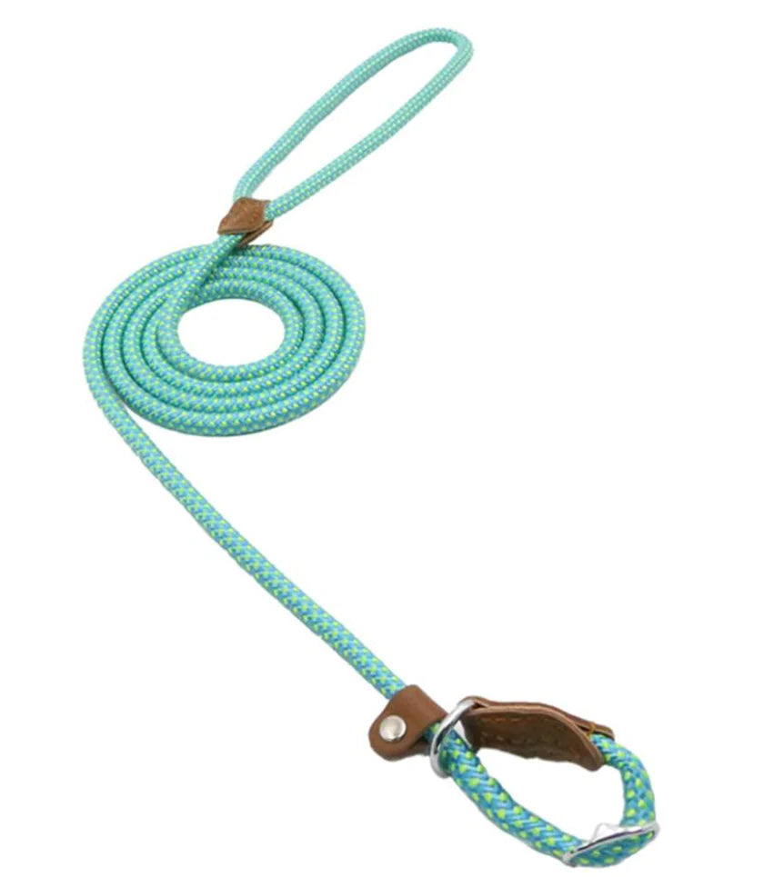 Stylish Nylon Pup Set