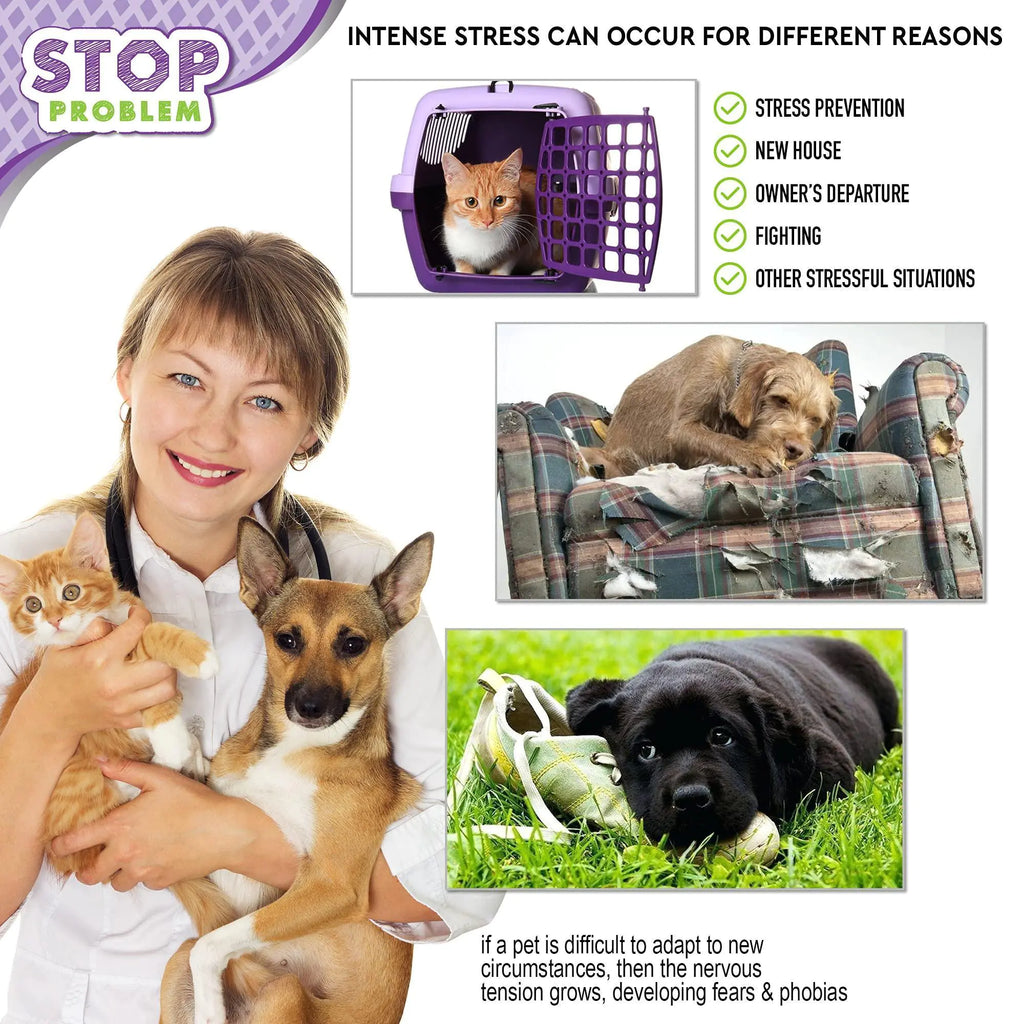 Cozy Cat Calming Diffuser