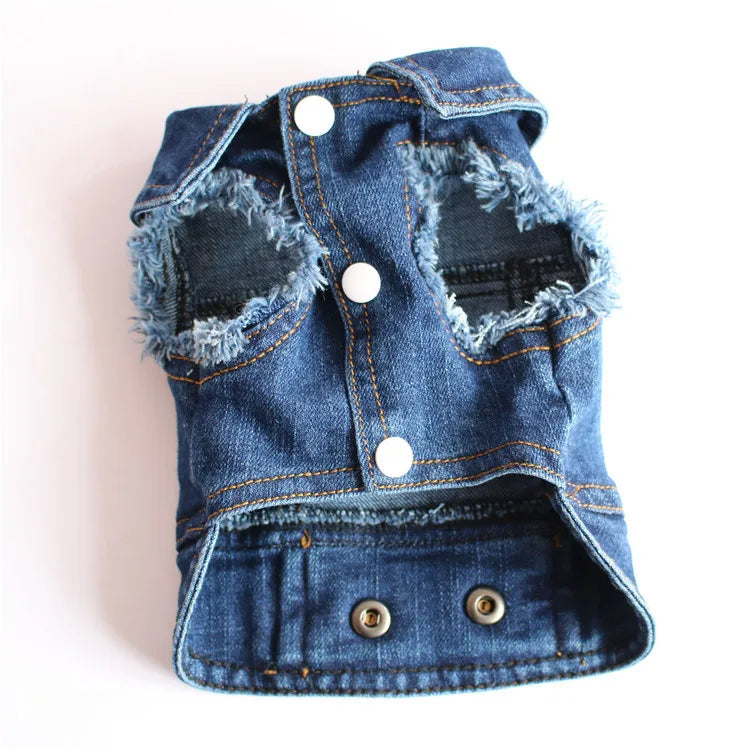 Trendy Cowboy Dog Jacket
