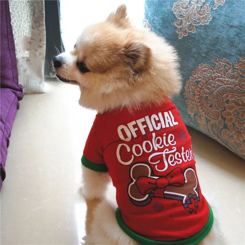 Winter Festive Dog Outfit