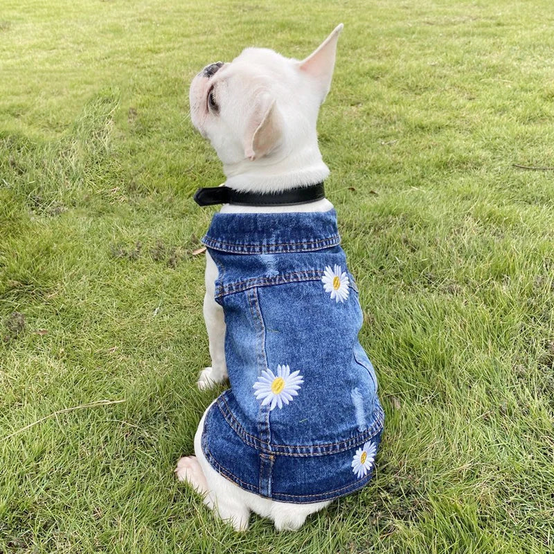 Denim Dog Jacket for Small Pups