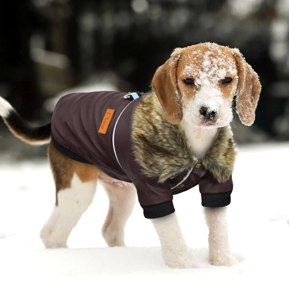 Stylish Dog Leather Jacket