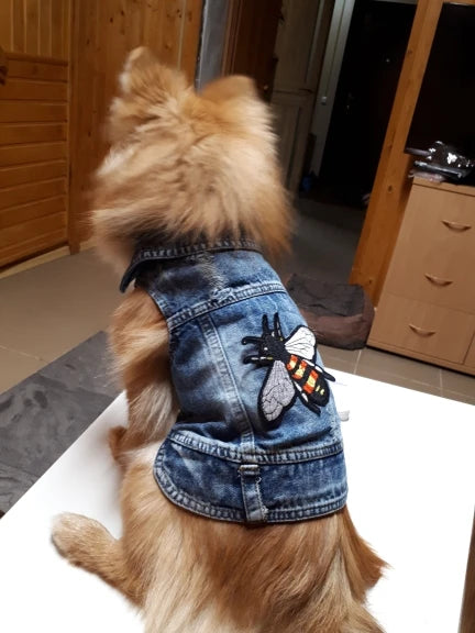 Trendy Cowboy Dog Jacket