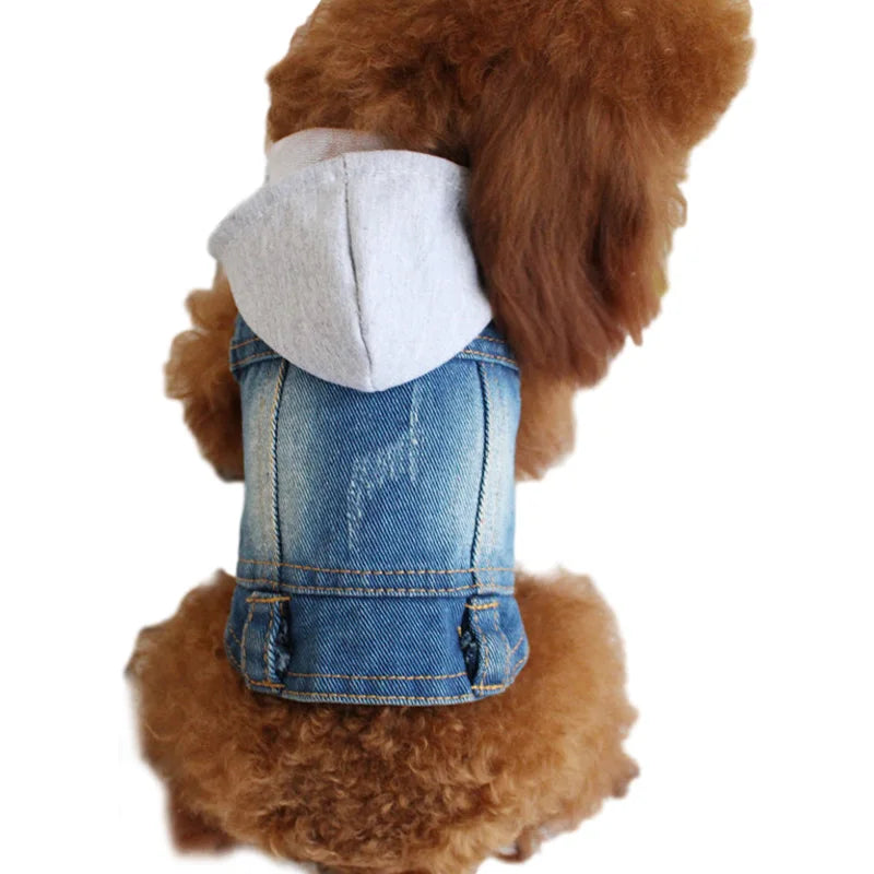 Denim Dog Jacket for Small Pups