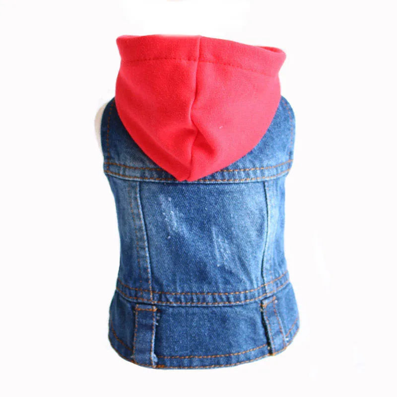 Denim Dog Jacket for Small Pups