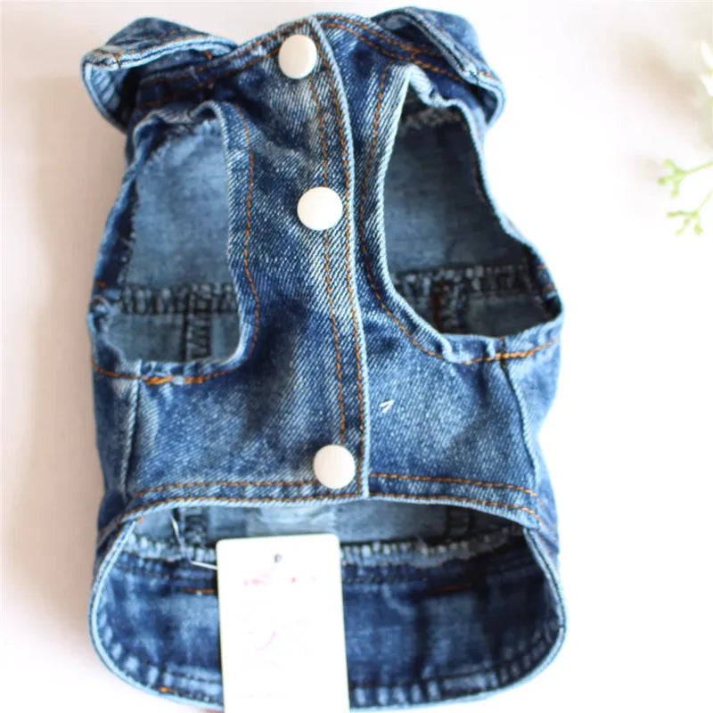 Trendy Cowboy Dog Jacket