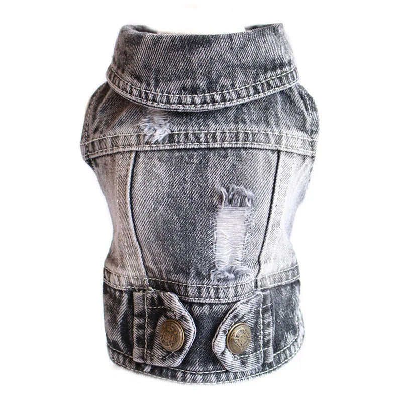 Denim Dog Jacket for Small Pups
