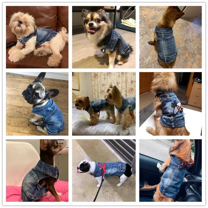Trendy Cowboy Dog Jacket