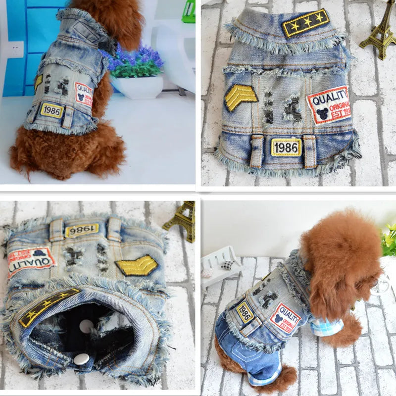 Trendy Cowboy Dog Jacket