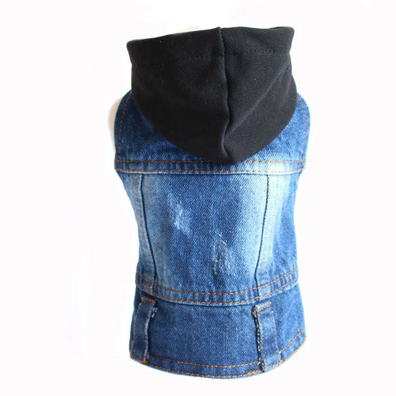 Denim Dog Jacket for Small Pups