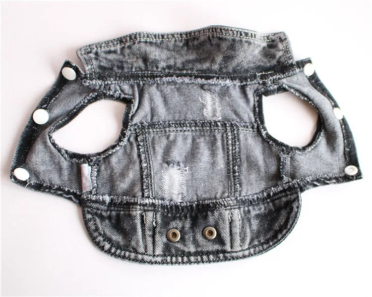 Trendy Cowboy Dog Jacket