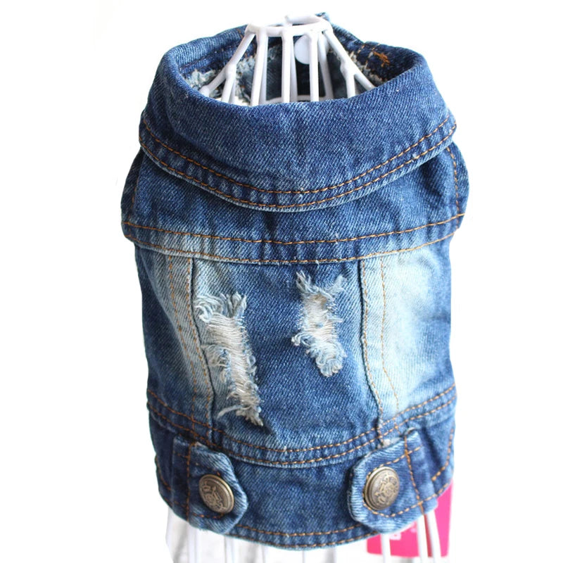 Trendy Cowboy Dog Jacket