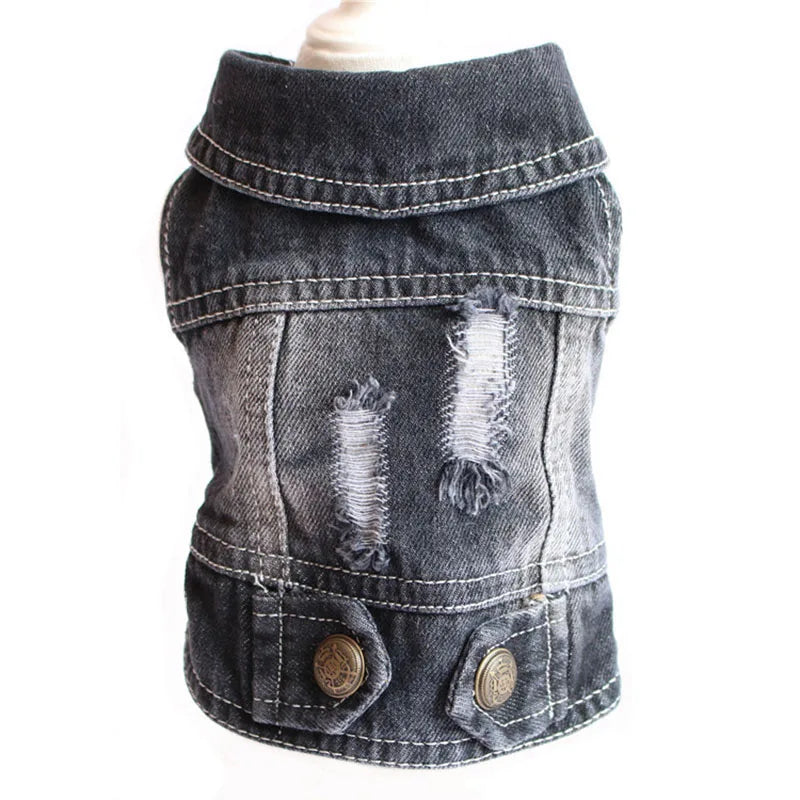 Trendy Cowboy Dog Jacket