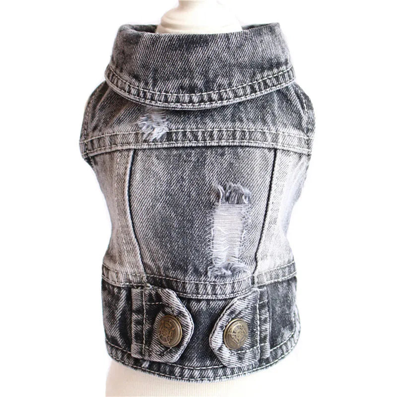 Trendy Cowboy Dog Jacket
