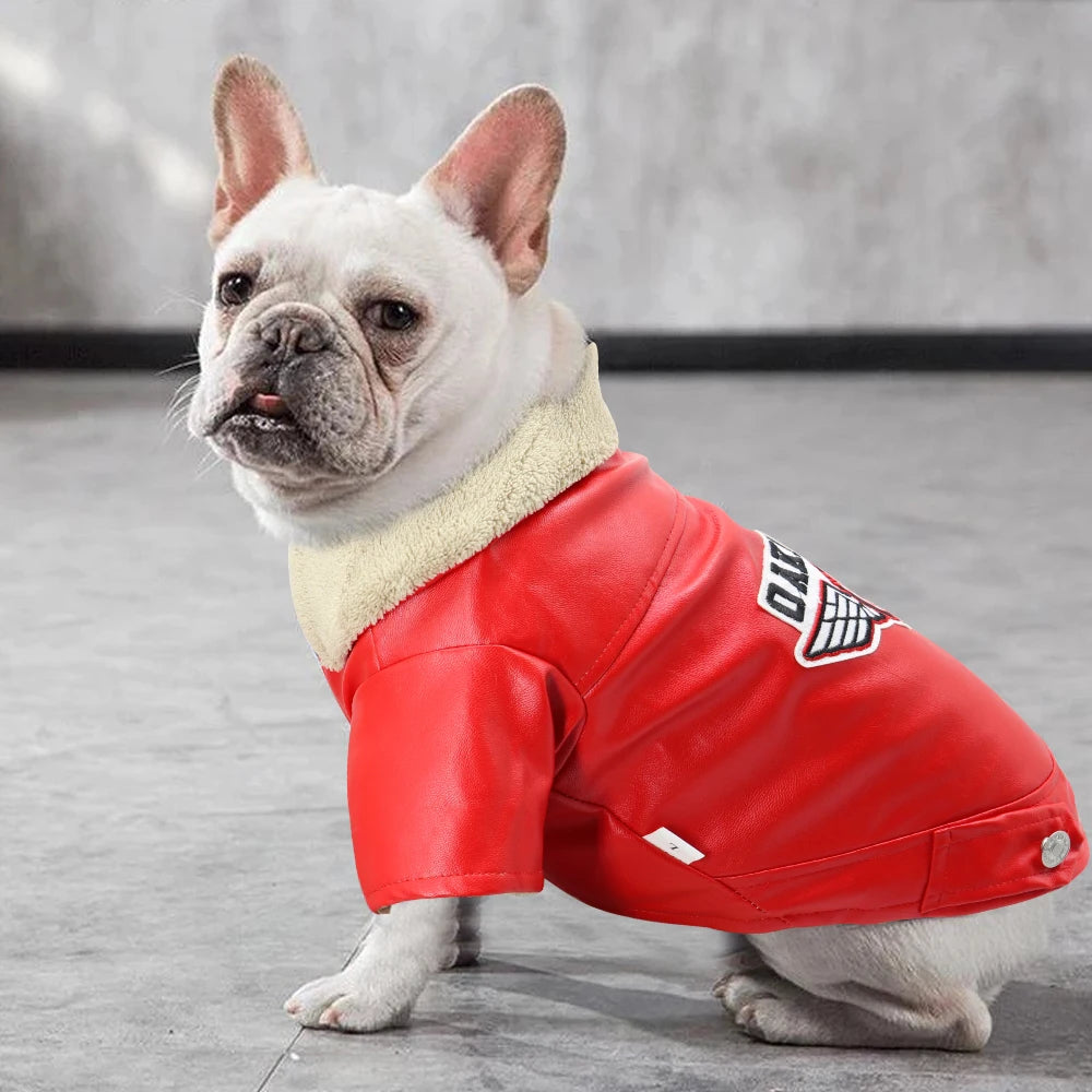 Stylish Dog Leather Jacket