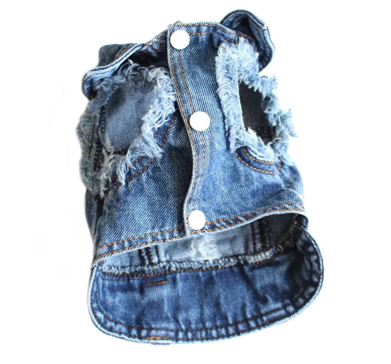 Denim Dog Jacket for Small Pups