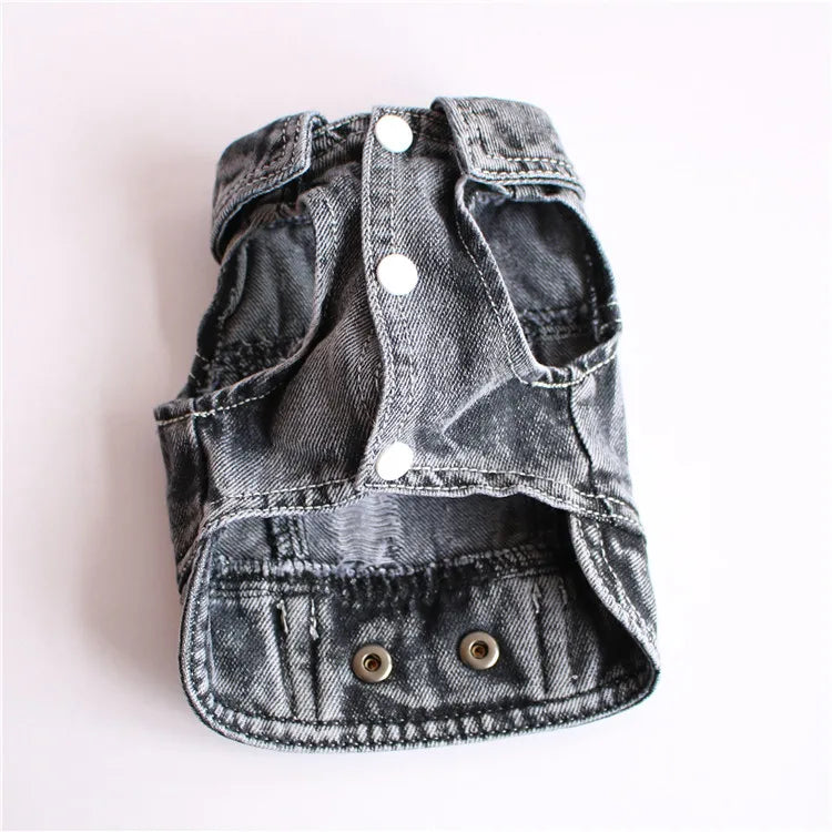 Trendy Cowboy Dog Jacket