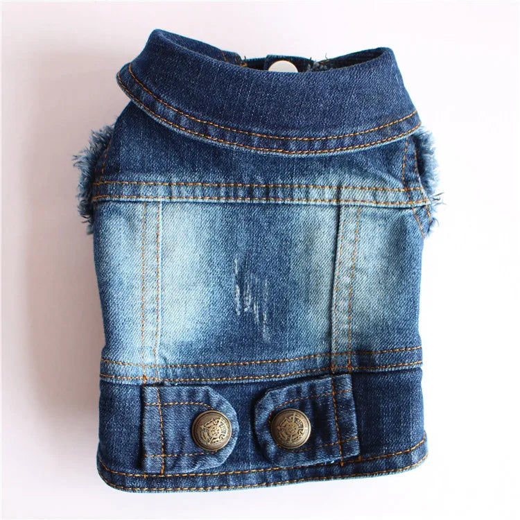 Trendy Cowboy Dog Jacket