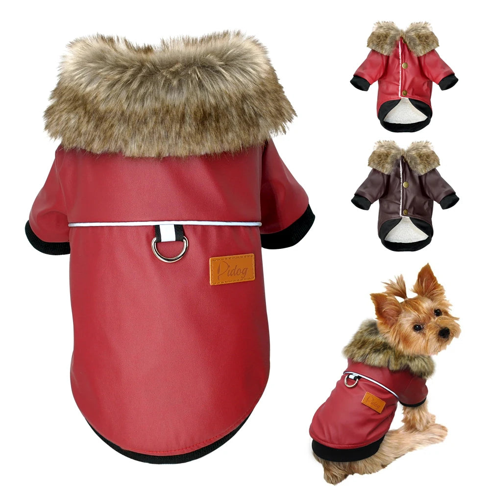 Stylish Dog Leather Jacket
