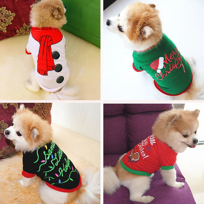 Winter Festive Dog Outfit