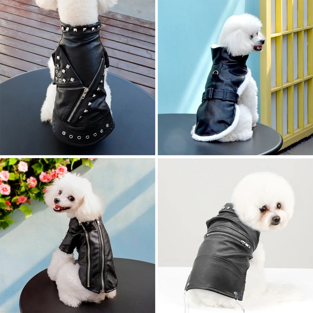 Stylish Dog Leather Jacket