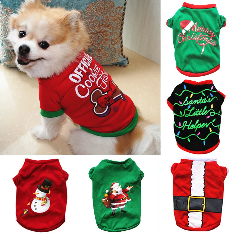 Winter Festive Dog Outfit