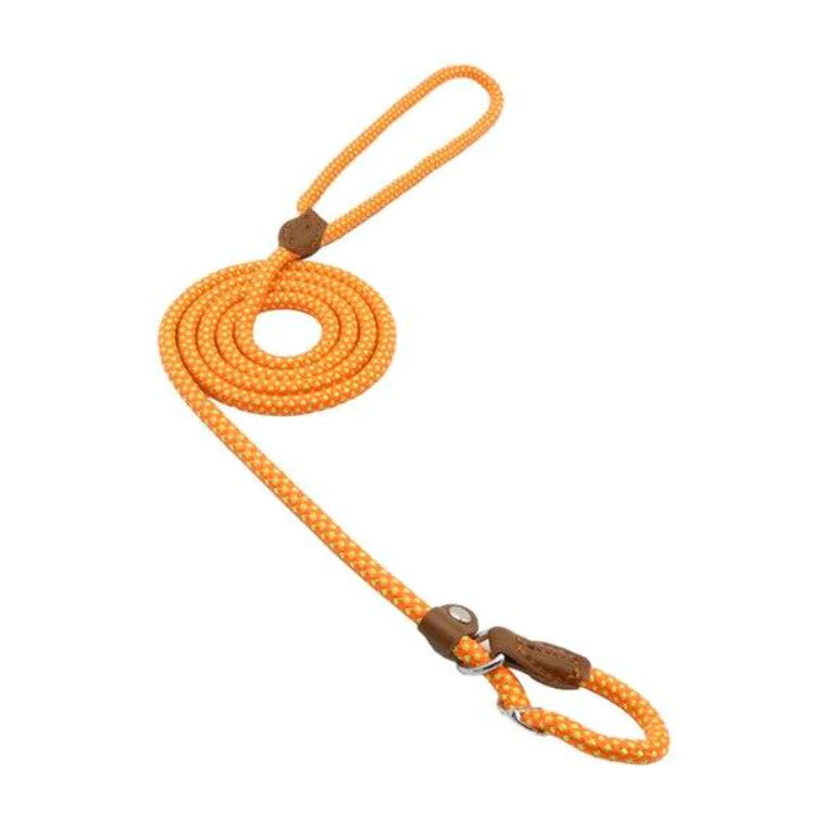 Stylish Nylon Pup Set