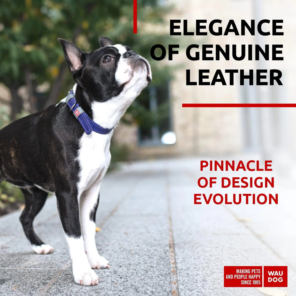 Stylish Leather Dog Collar