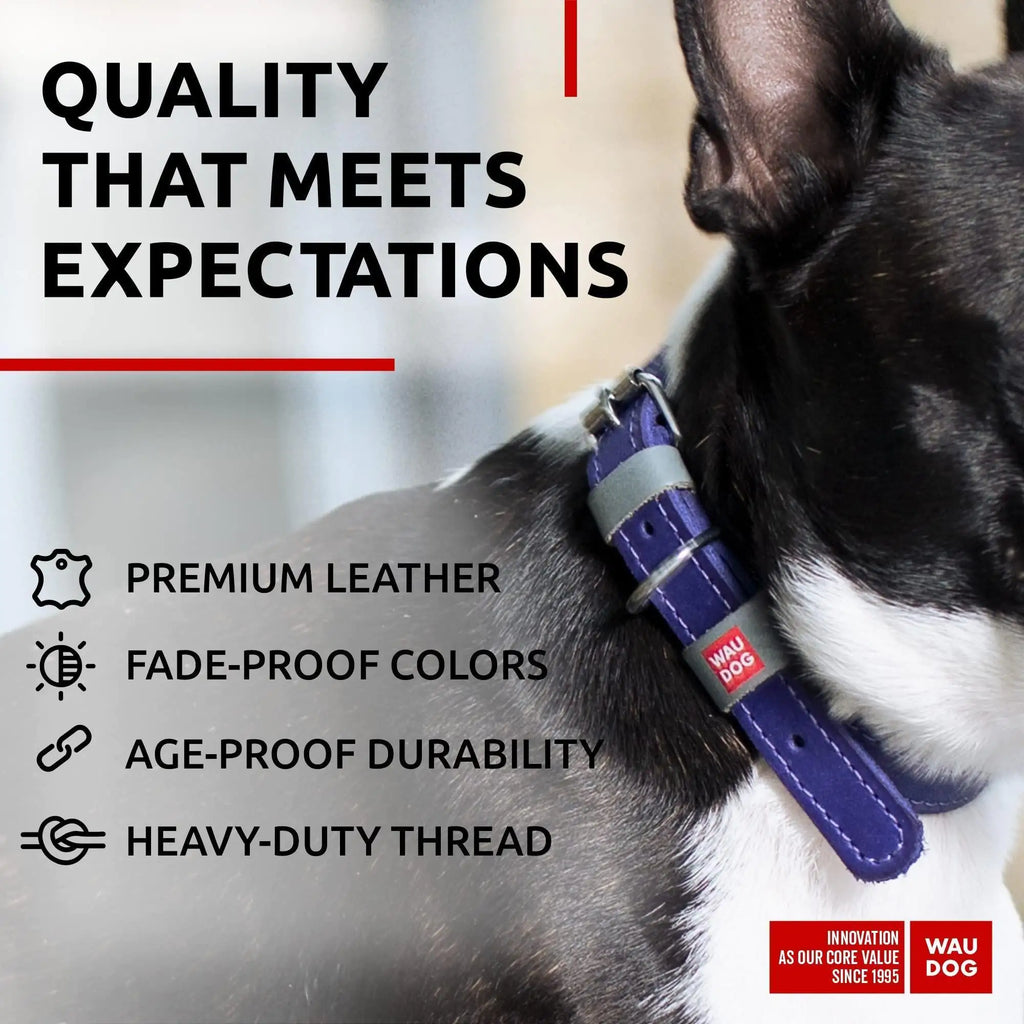 Stylish Leather Dog Collar