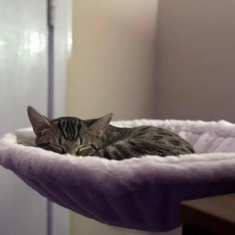 Cozy Cat Desk Hammock