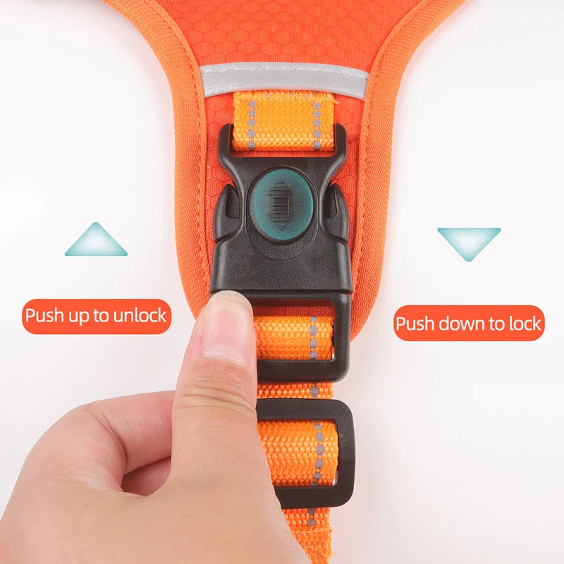 Reflective Dog Harness for Safe Walks