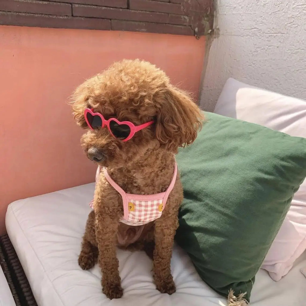 Trendy Pet Sunglasses