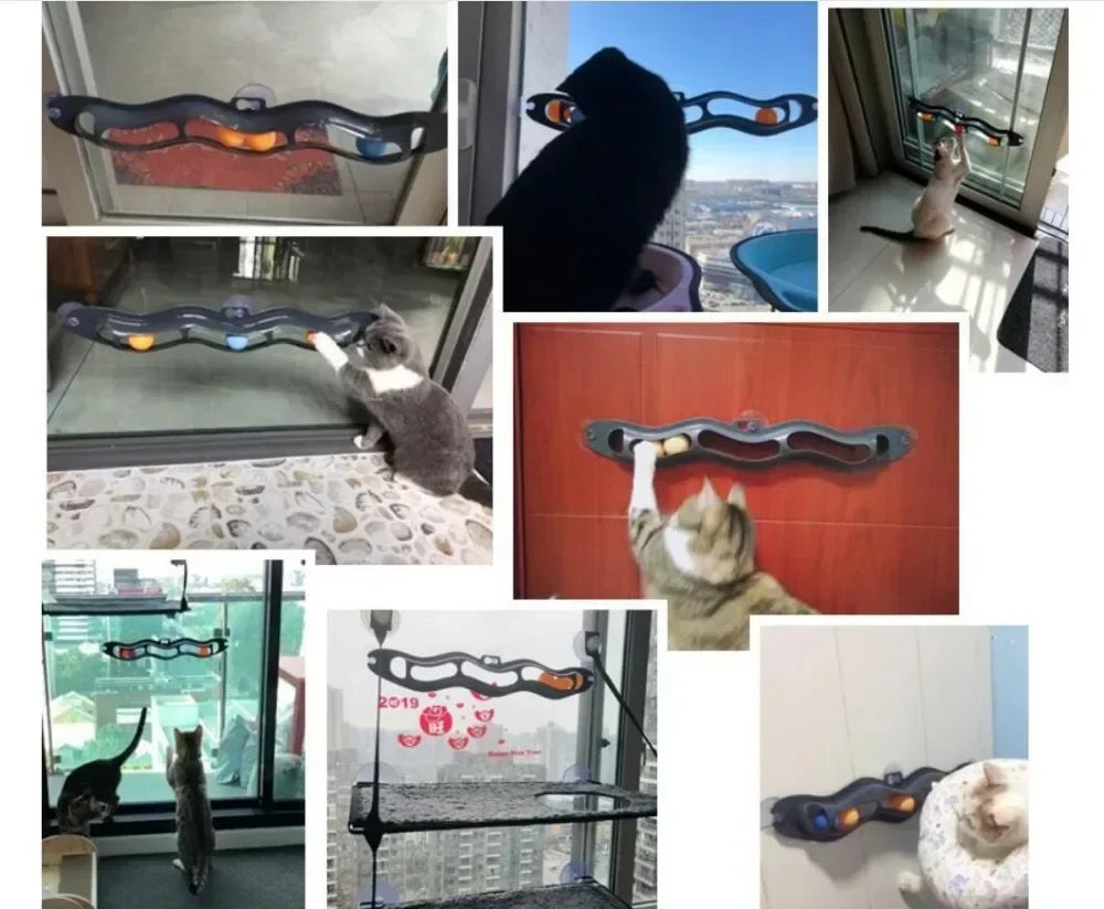 Fun Window Cat Track Toy