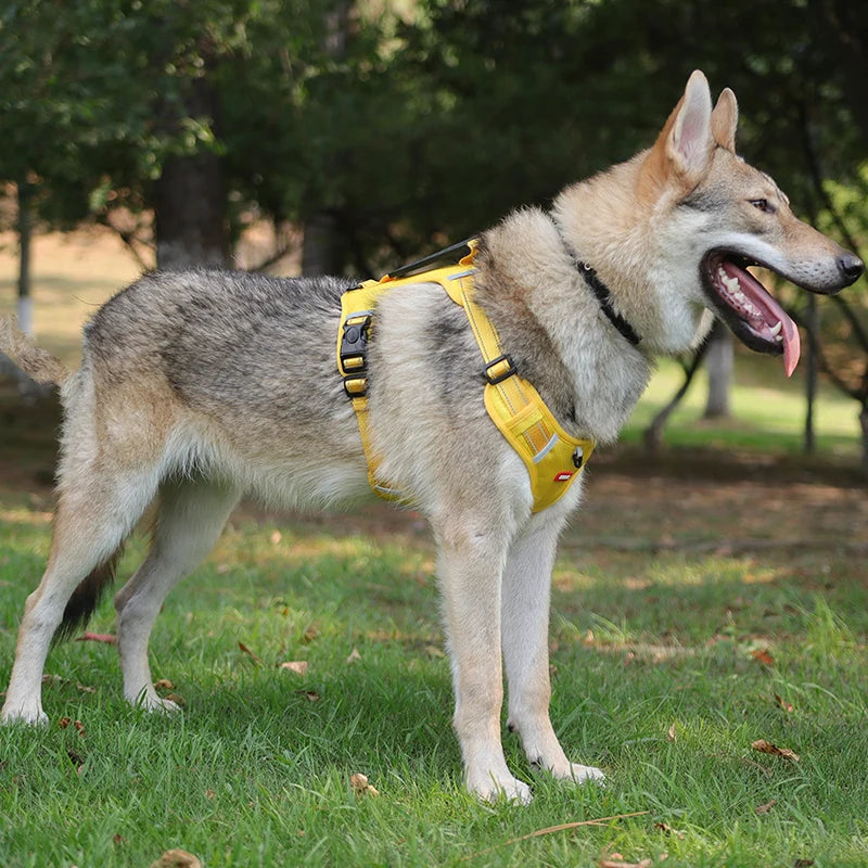 Reflective Dog Harness for Safe Walks