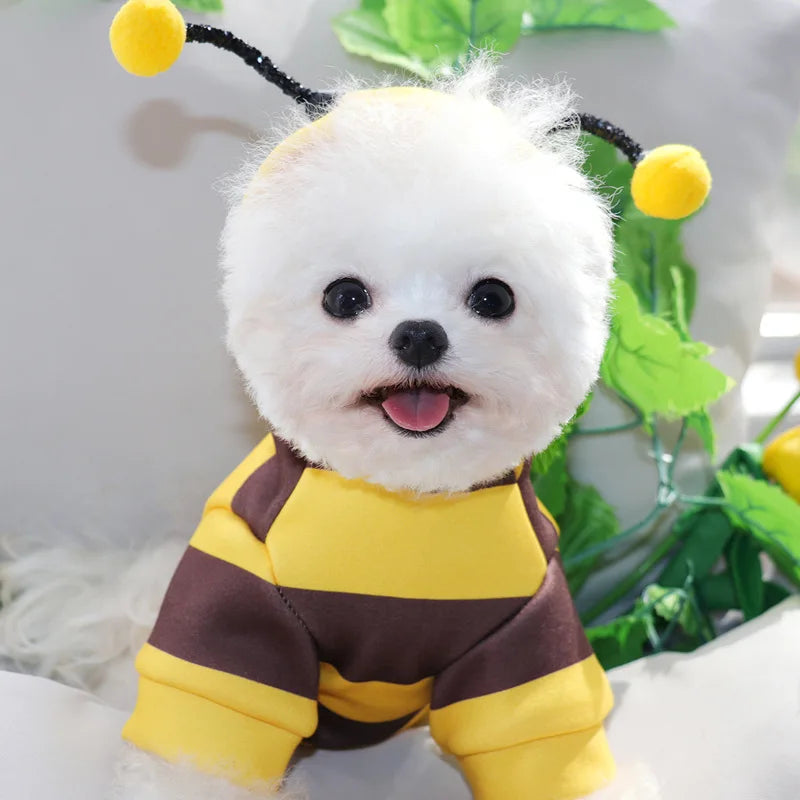 Cute Cozy Bee Dog Hoodie