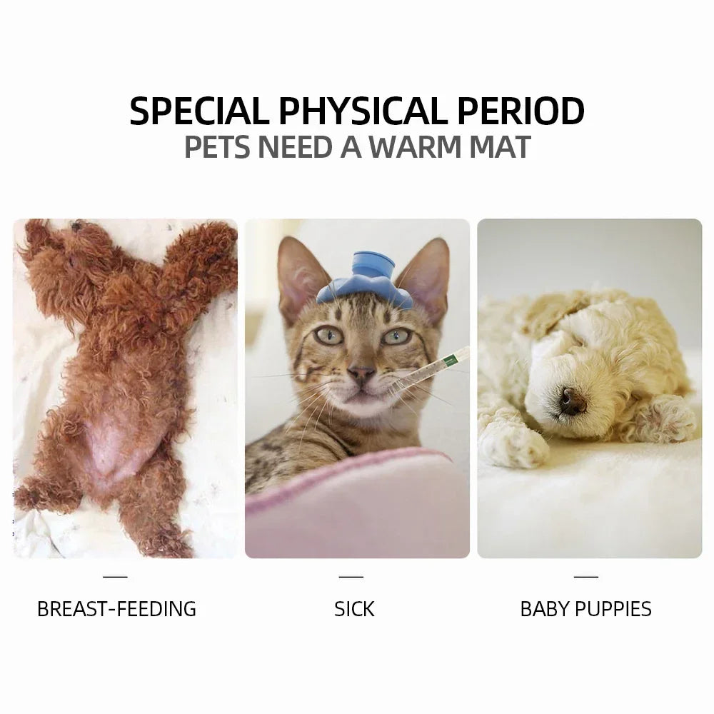 Cozy Winter Pet Heating Pad