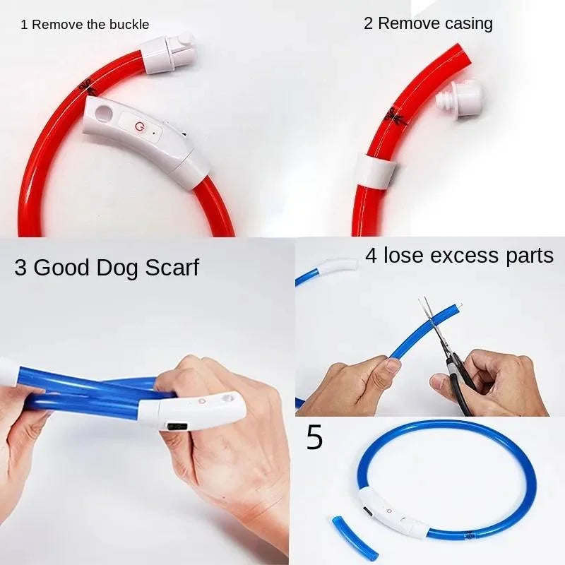 Glow in the Dark Dog Collar