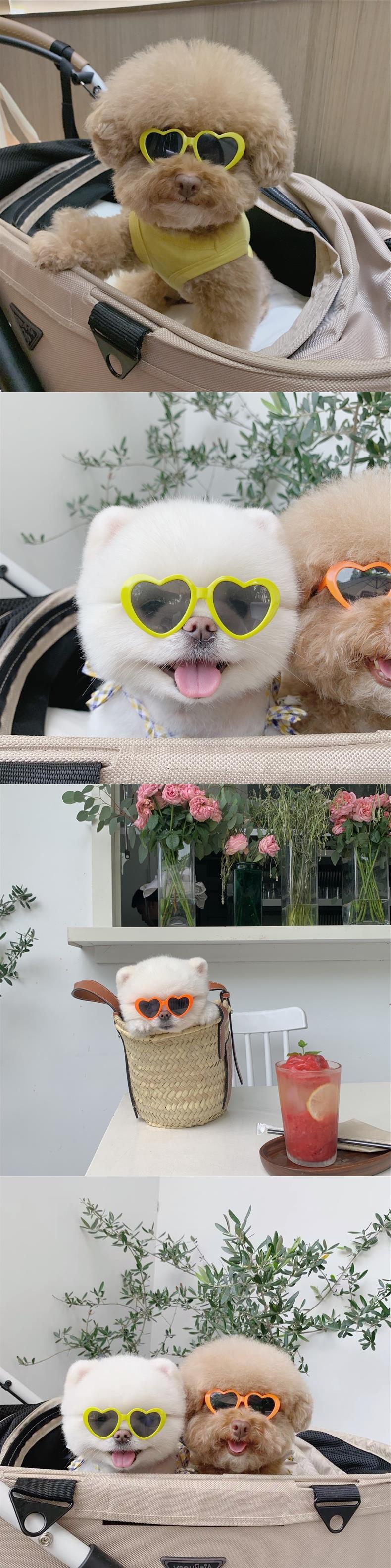 Trendy Pet Sunglasses