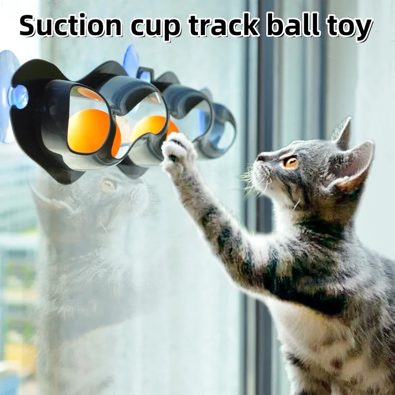 Fun Window Cat Track Toy
