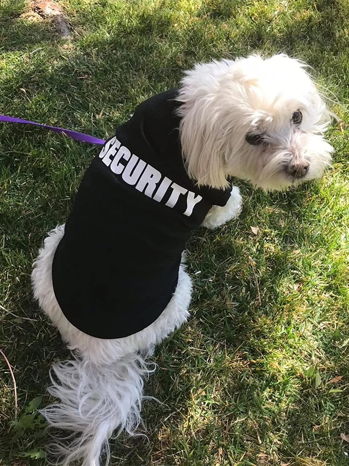 Summer Pet Vest for Small Dogs