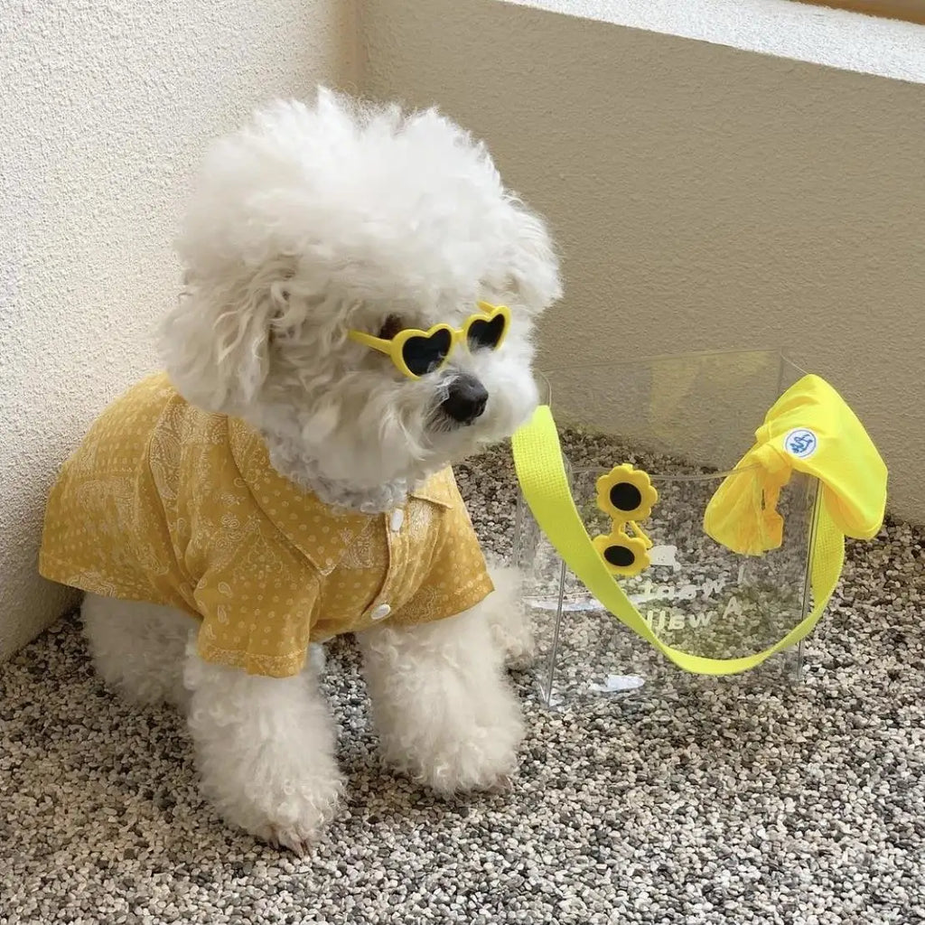 Trendy Pet Sunglasses