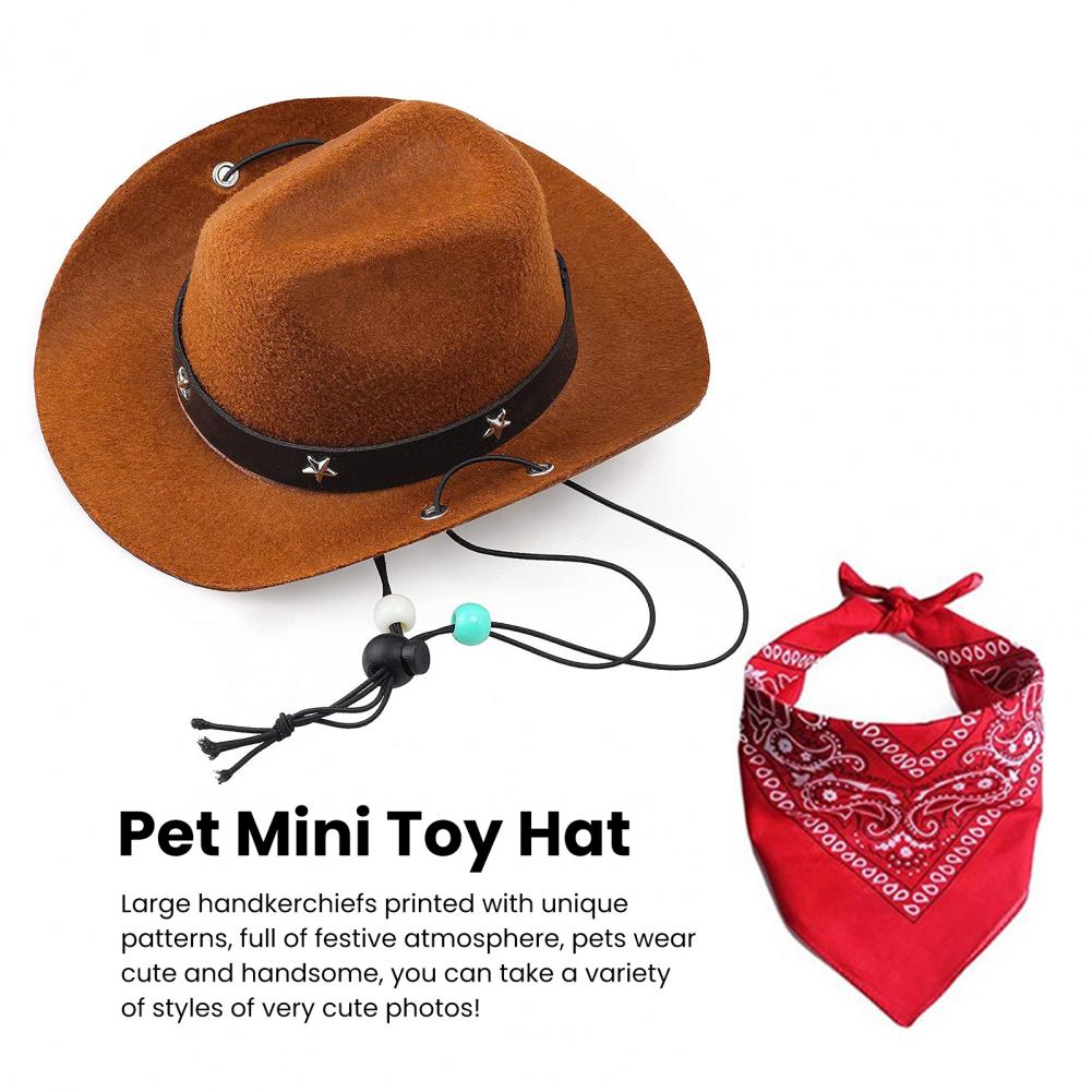 Cowboy Costume for Pets