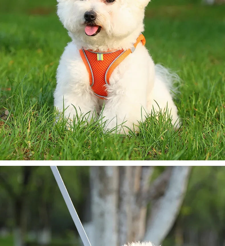 Versatile Dog Harness for All Breeds