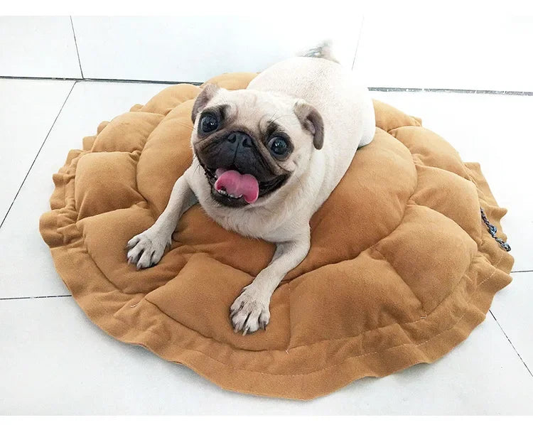 Cozy Adjustable Pet Bed