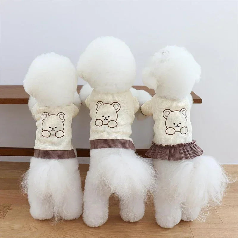 Adorable Pet Couple Outfits