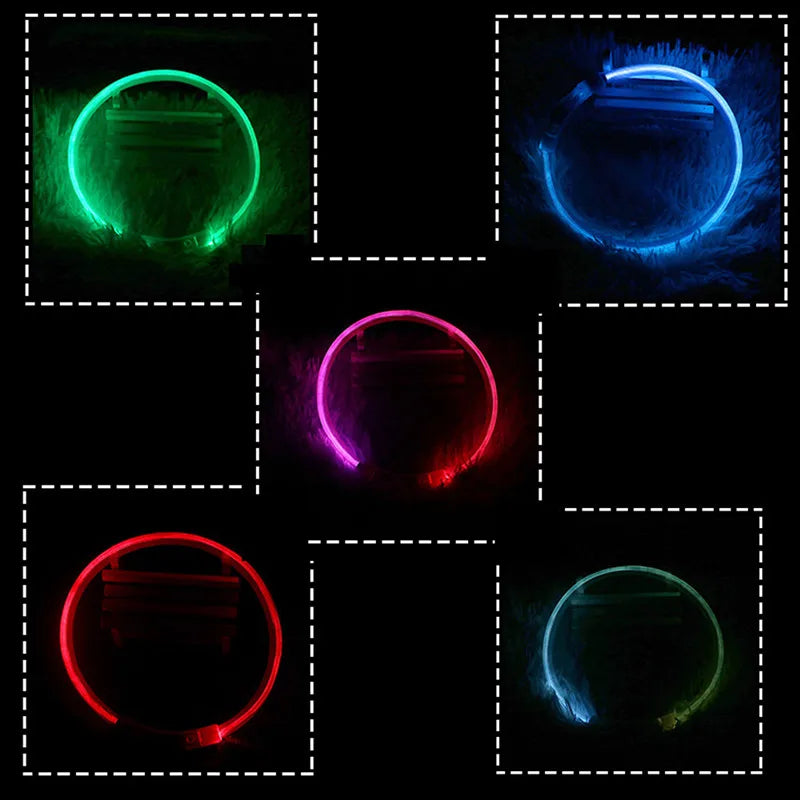 Glow in the Dark Dog Collar
