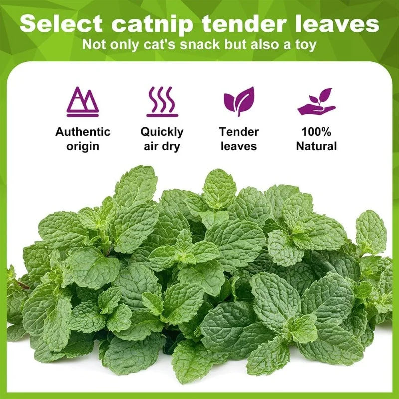 Natural Catnip Ball Toy