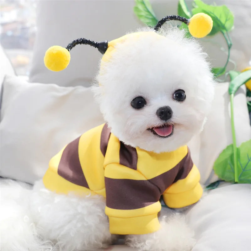 Cute Cozy Bee Dog Hoodie