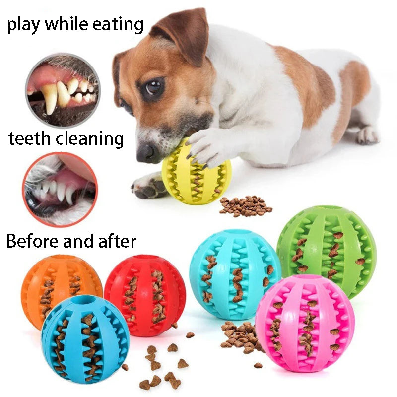 Fun Chew Toy Ball