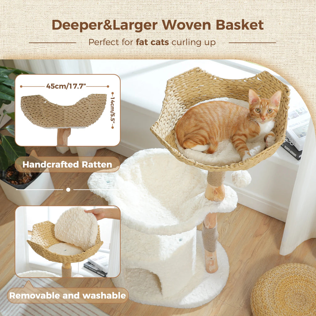 Stylish Cat Tree with Hammock